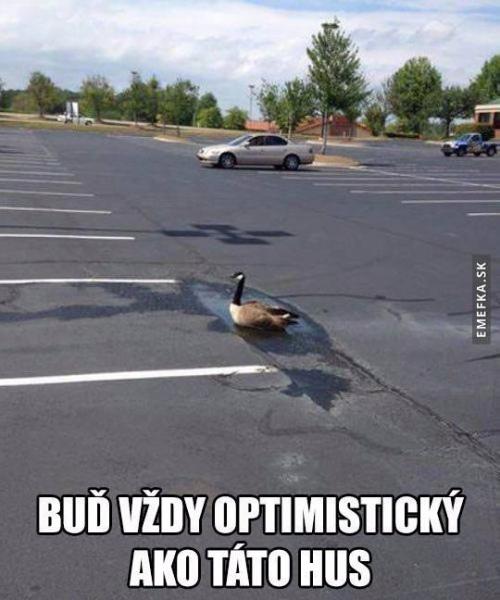  Je důležité být optimista7 