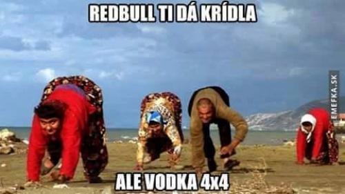  Redbul vs Vodka 
