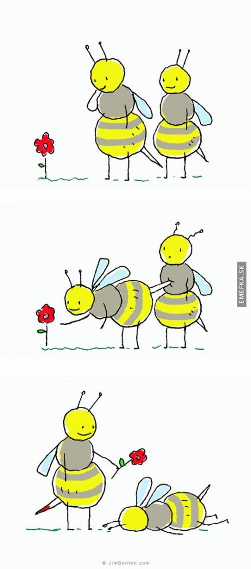  Bee mine 