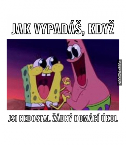  Když nemáš domácák 