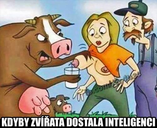  Zvířatka s inteligencí 