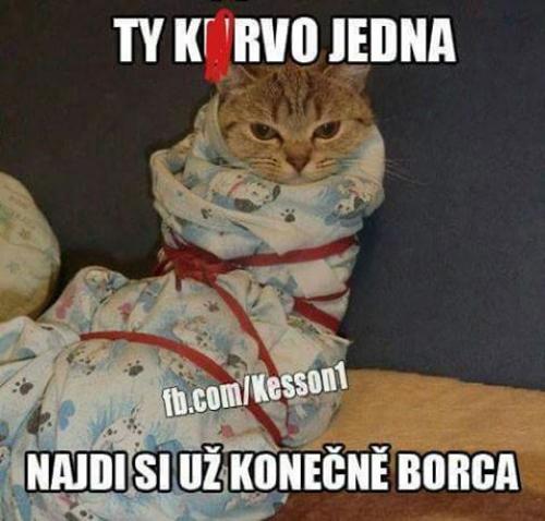  Nezávislá žena 