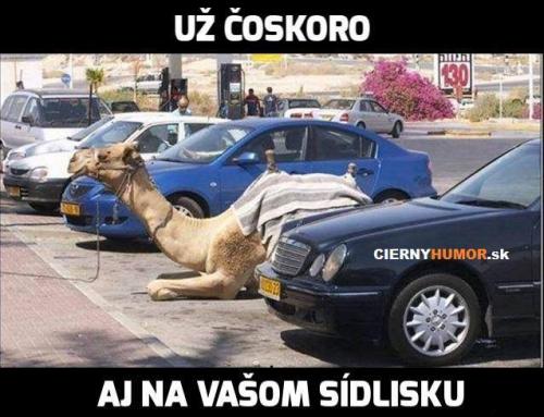  Brzy i u vás 