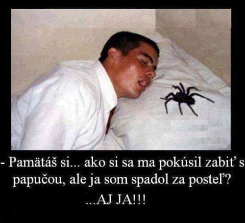 Pamatuješ