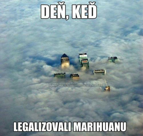 Legalizace marihuany