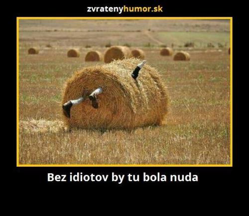  Bez idiotů by byla nuda 