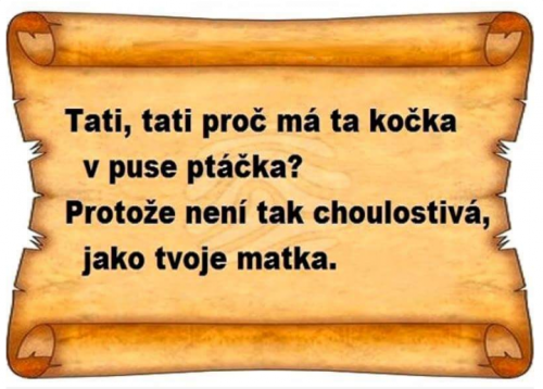  Kočka 