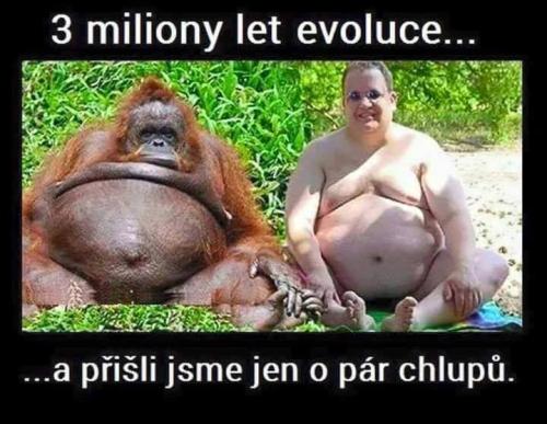  Miliony evoluce 