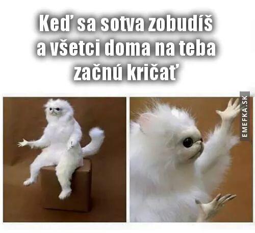  Po ránu 