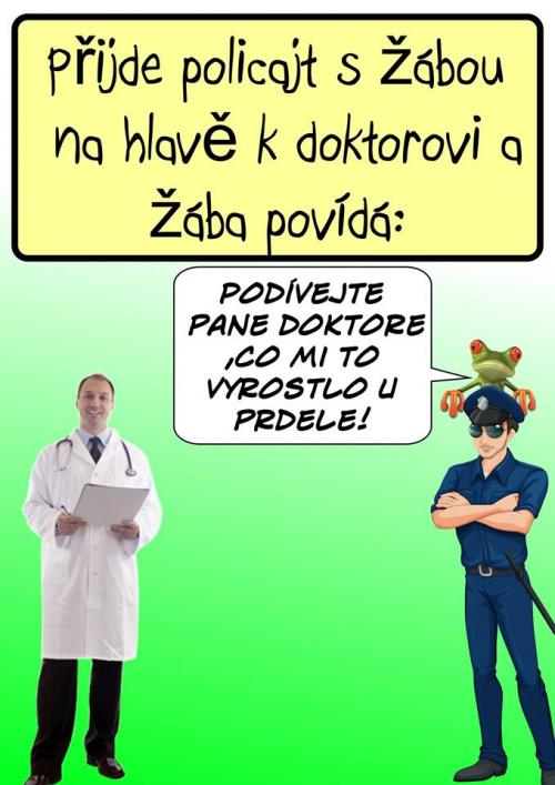 Policajt s žábou