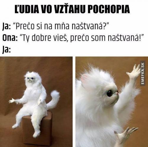  Proč si naštvaná 