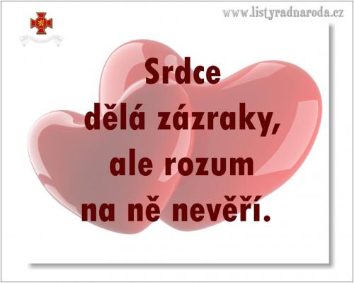  Srdce 