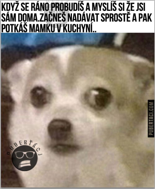  Když si myslíš, že si sám doma 