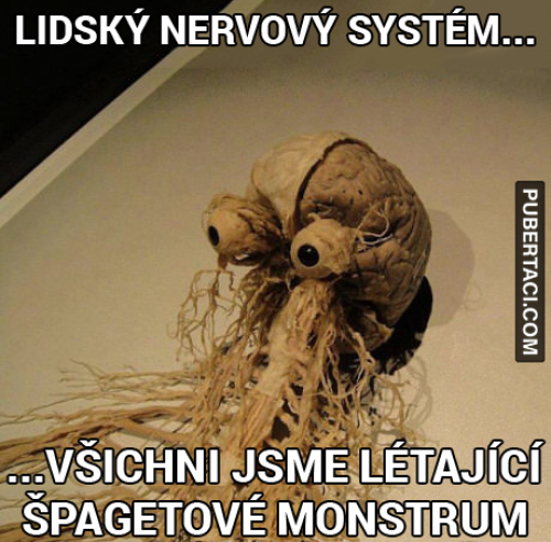 Nervový systém