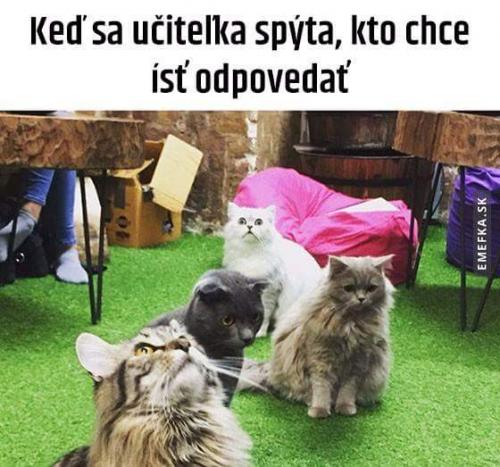  Kdo chce jít k tabuli? 