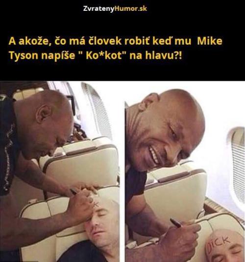  Jako co má dělat? 