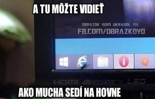  Moucha na hovně 