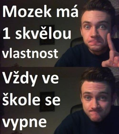  Mozek ve škole 