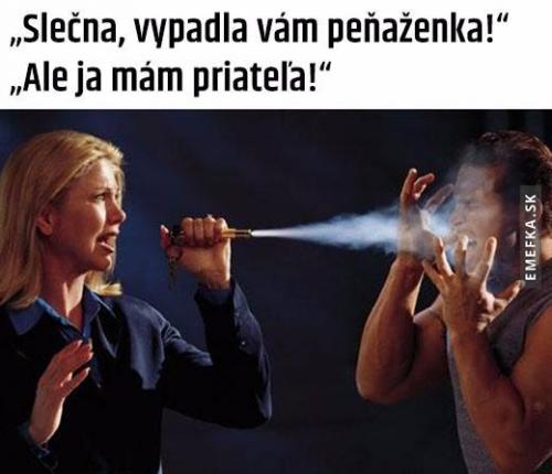  Peněženka 