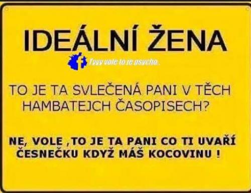 Ideální žena