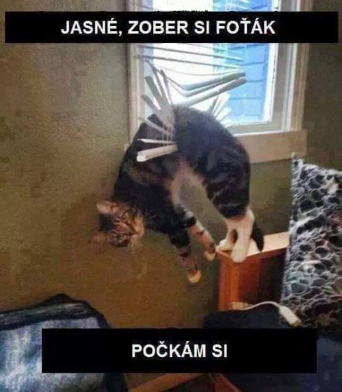  Jasně, v poho! 