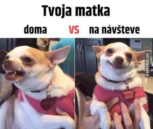  Máma na návštěvě 