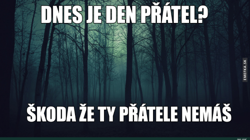  Den přátel na Facebooku 