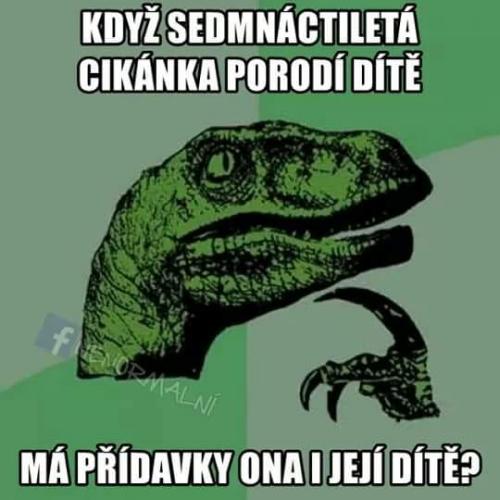  Přídavky na děti 