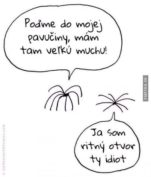  Pavoučí problémy 