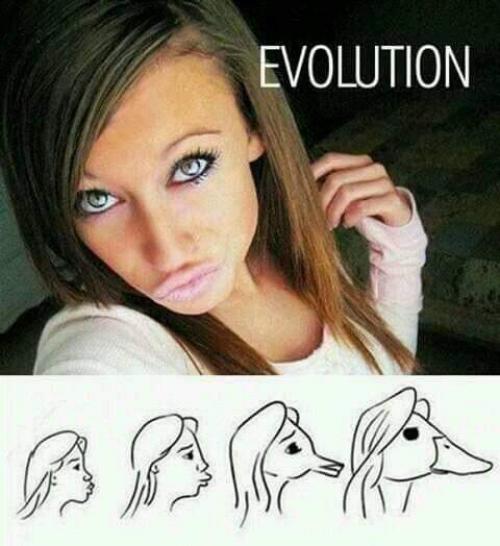  Evoluce duck face 