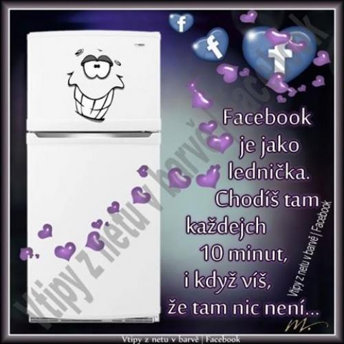  Facebook 