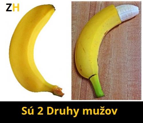 2 Druhy mužů