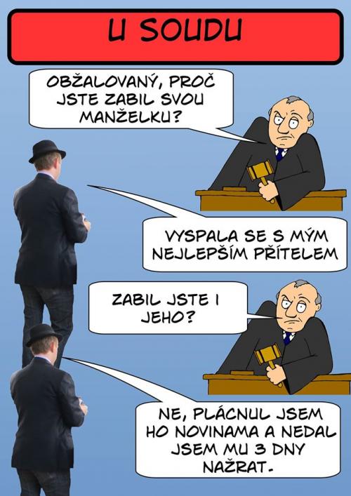 U soudu