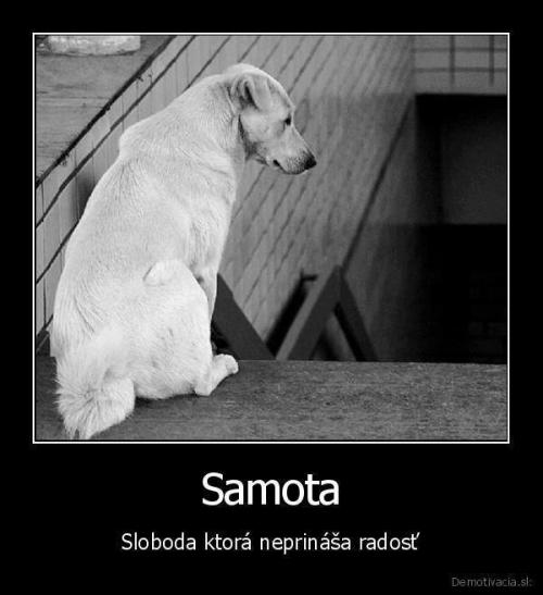  Samota 