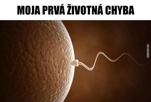  Životní chyba 