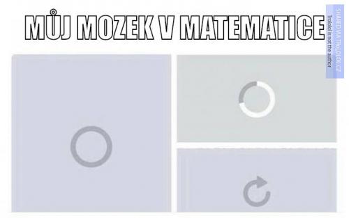  Mozek 