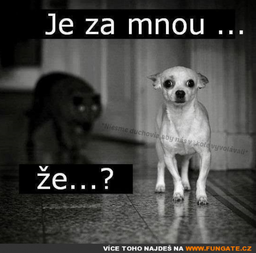  Je za mnou 