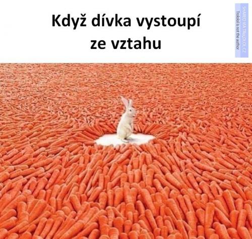  Vztah 