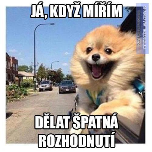  Rozhodnutí 