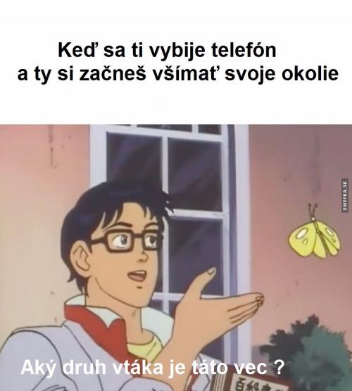  Telefon 