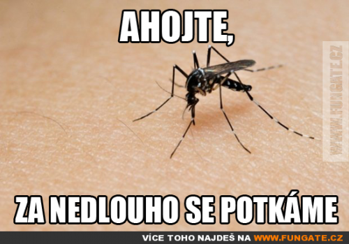 Ahojte