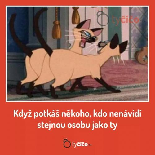  Nenávist 