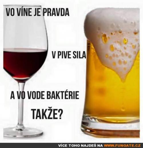  Ve víně je pravda 