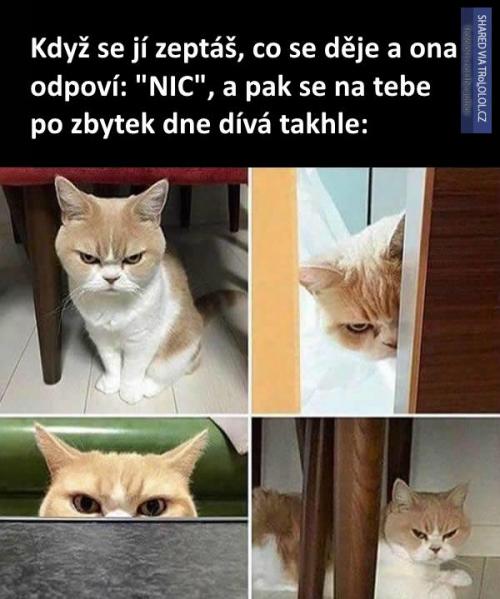 Vyzvídání