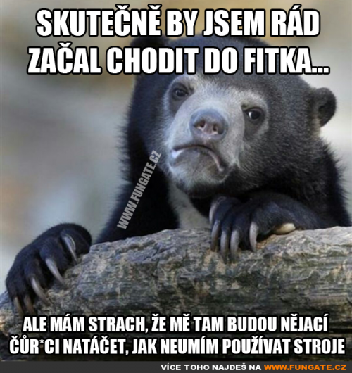  Skutečně by jsem rád začal chodit do fitka 