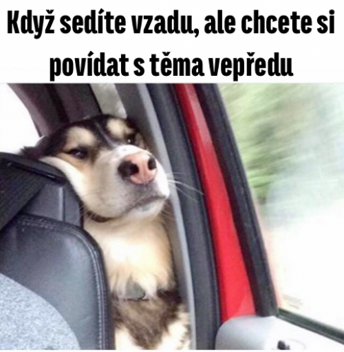  Přesný - v autě 