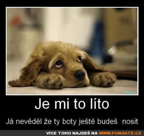 Je mi to líto