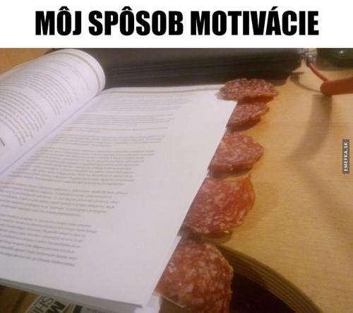  Motivace 