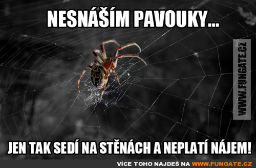 Nesnáším pavouky