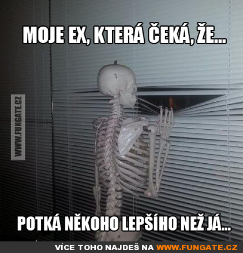  Moje ex, která čeká, že 